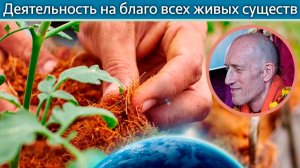 Деятельность на благо всех живых существ — Бхакти Викаша Свами