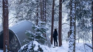 Ночь в заснеженном лесу: тепло, снег и тишина