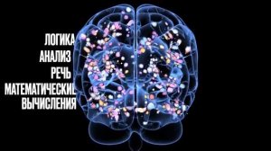 Мозг человека против эволюции: чего не могут объяснить учёные? -- Олег Боков