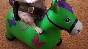 игра с какойто чуркой в майн