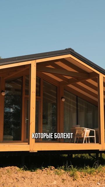 Когда дерево мешает стройке: советы эксперта #ландшафт #строительство #эксперт