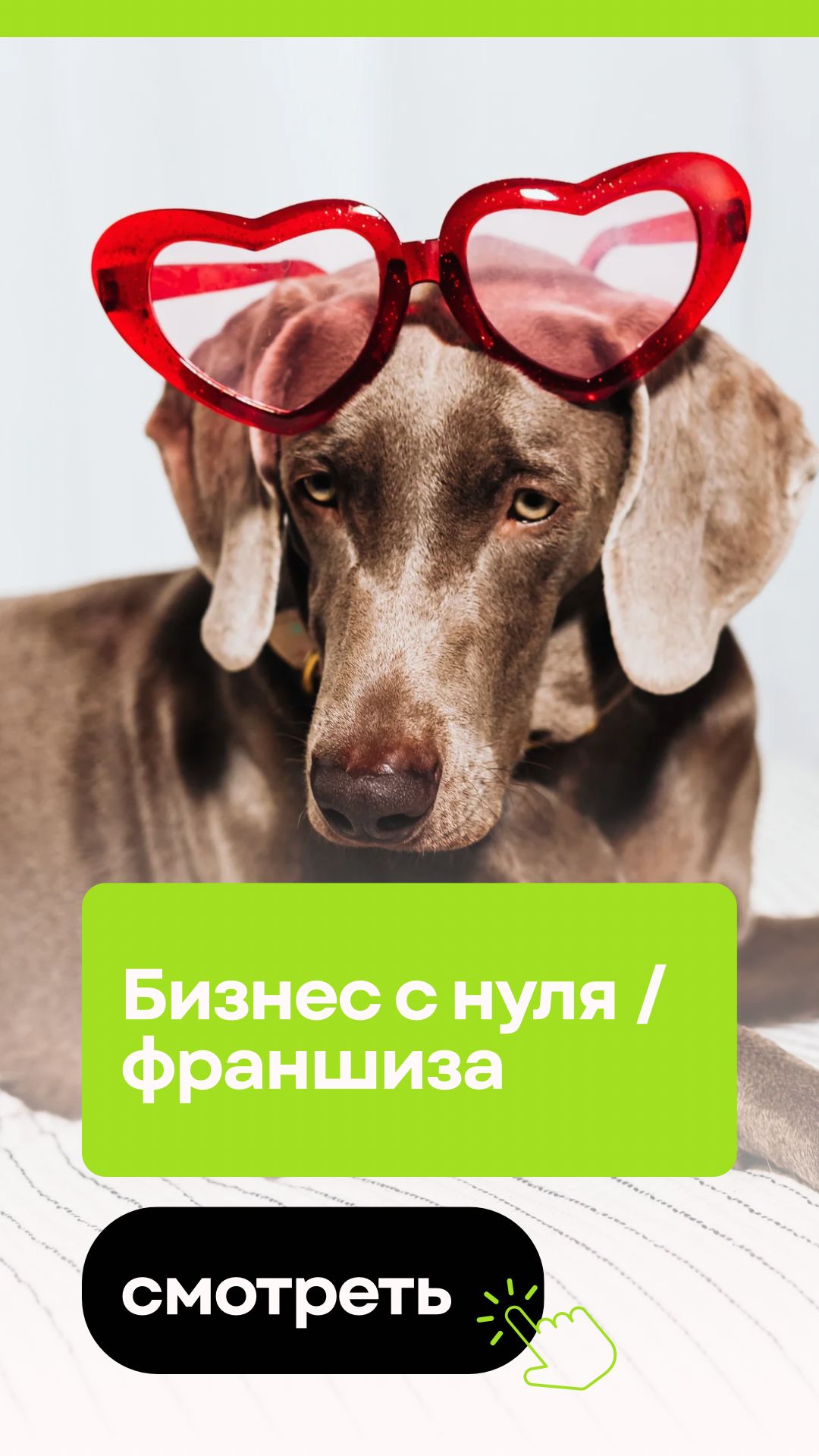 Бизнес с нуля или франшиза