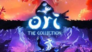 Ori and the Will of the Wisps #2