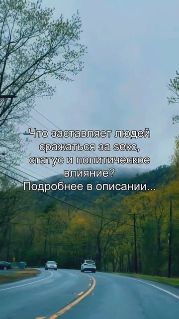 Почему мы боимся
осуждения больше, чем
самой ошибки?
Подробнее в описании...