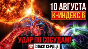 КРАСНЫЙ УРОВЕНЬ 10 августа: Буря 6 баллов сгущает кровь. Инструкция для метеозависимых.