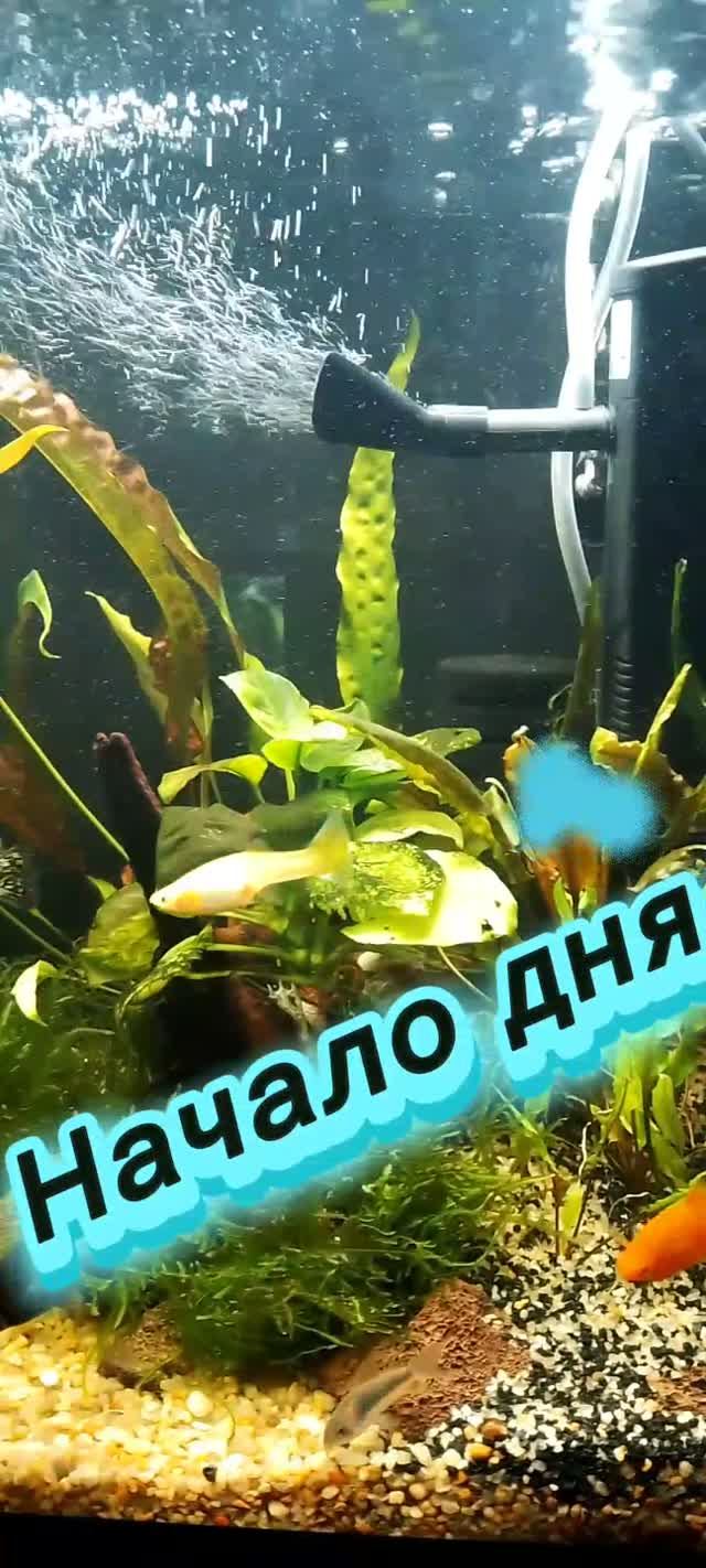 Новый день