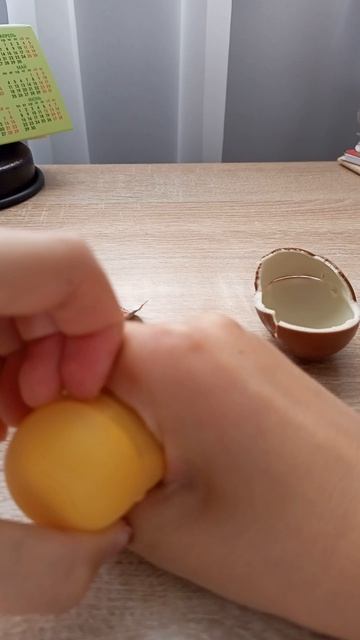 Распаковка Kinder сюрприза