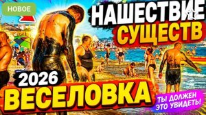 #Веселовка 2026 Аномальная Зона Черное море Опасные #медузы