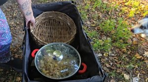 Яркое утро, загадочные коряги и полевая кухня