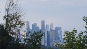 твммв