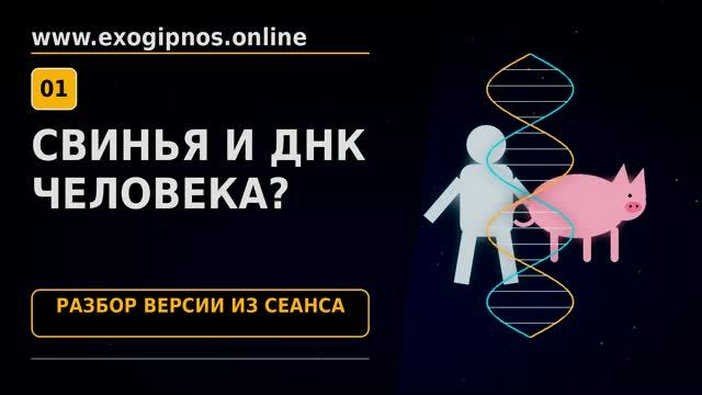 Почему запрещена свинина?  Генная инженерия и человек: Что скрывает мясо свиньи?