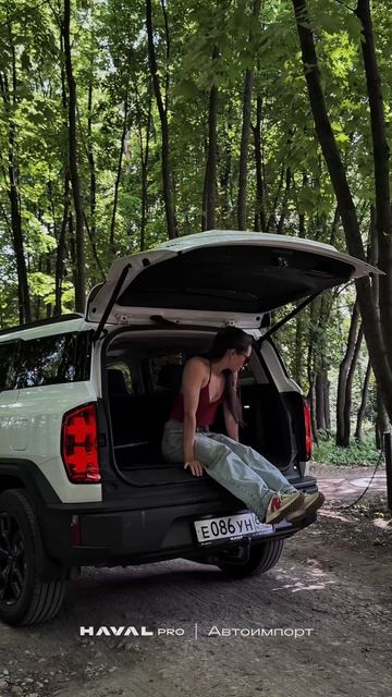 HAVAL H3
