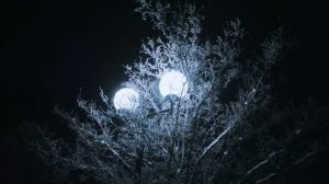 Песня Танцует ночь Автор текста и музыки Ванина Светлана