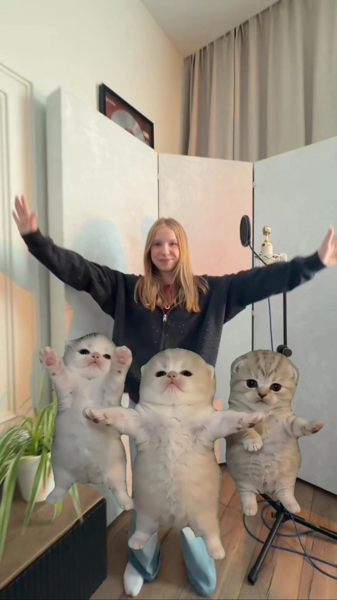 аааа котики 