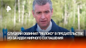 Слуцкий резко высказался об инициативе «Яблока» по мирному соглашению с Украиной