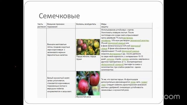 Уход за садом с Анастасией Борункова 6.8 14:00