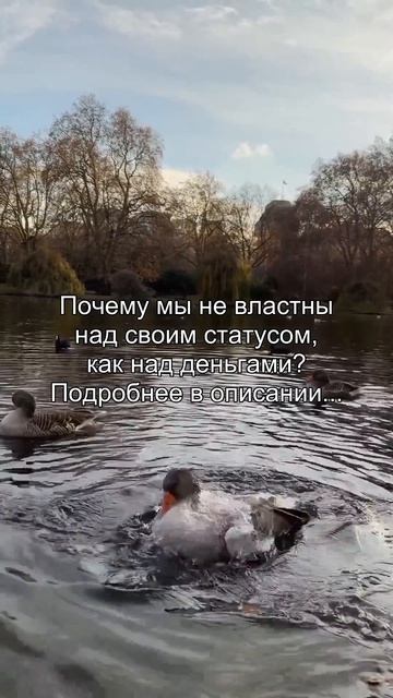 Почему мы не властны
над своим статусом,
как над деньгами?
Подробнее в описании...