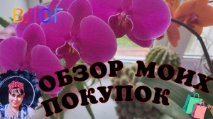 ОБЗОР ПОКУПОК 🛍️. СНОВА ЕДЕМ НА ОТДЫХ , В ПОСЛЕДНИЕ ДНИ ОТПУСКА 😔😉🤗