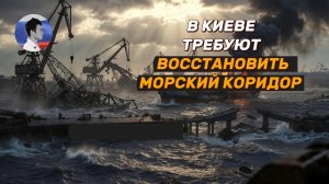В Киеве требуют от западных партнеров разблокировать морской коридор на Украину