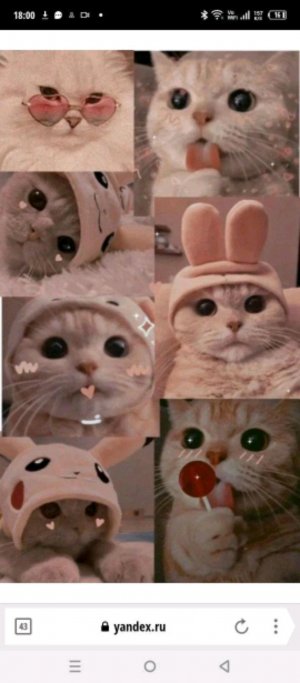 лайфхаки для начинающих
