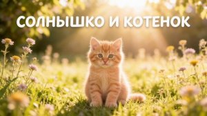 Детская добрая песенка - Солнышко и котёнок