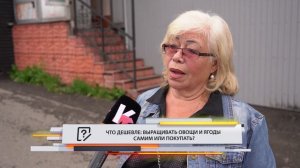 • ОПРОС ДНЯ: Есть ли у вас дача? •