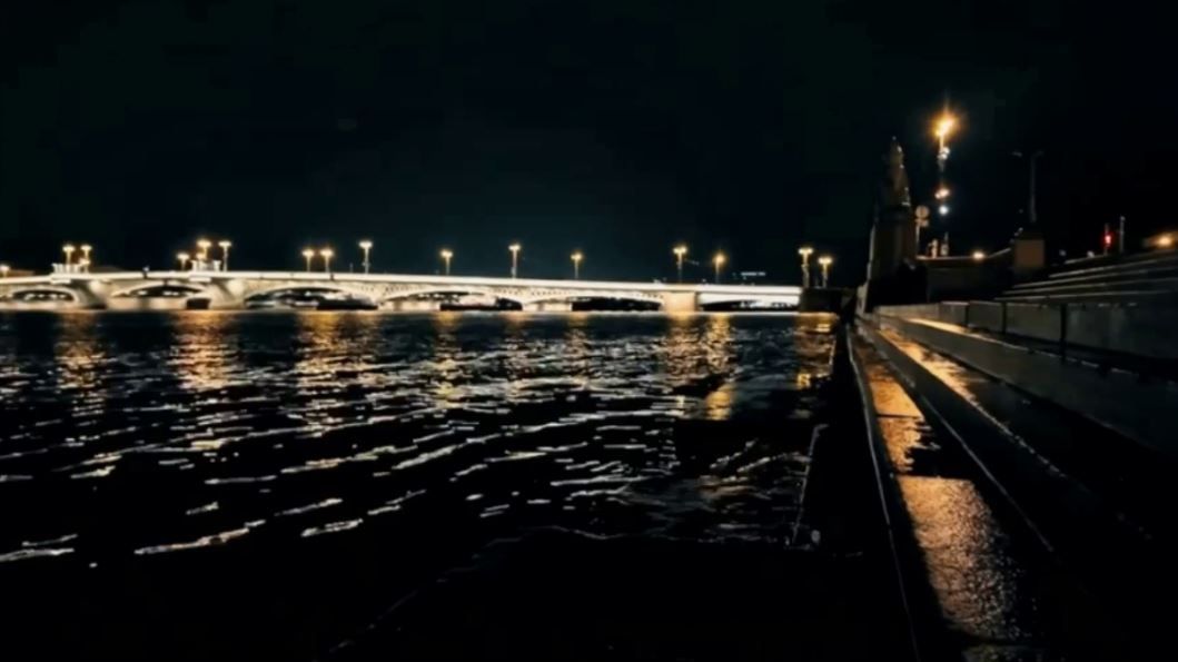 Владимир Черняев