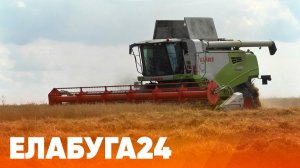 Новости Елабуги от 7 августа 2026