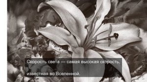 волшебные звуки со смыслом 2