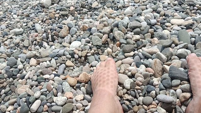 1000072317.mp4