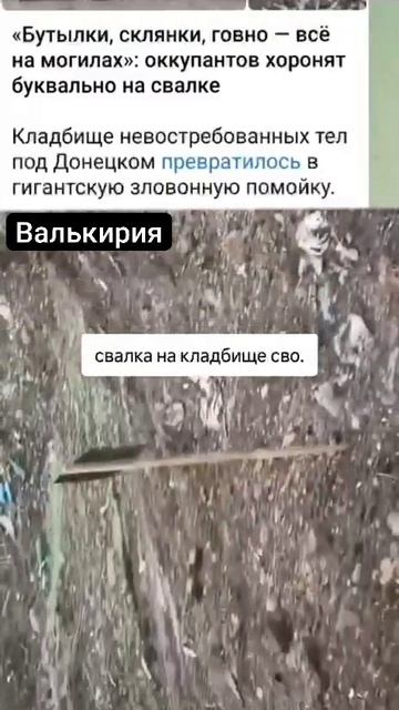 1786052334461.mp4