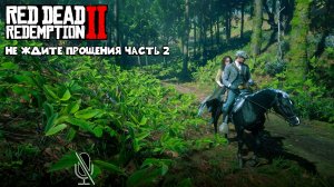 Red Dead Redemption 2 ➤ Часть 6:Не ждите прощения часть 2