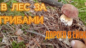 РОШАЛЬ -РЯЗАНЬ-ЛИПЕЦК-ВОРОНЕЖ-РОСТОВ-ЕЙСК.