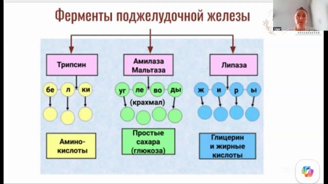 07.08 Здоровое питание