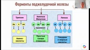 07.08 Здоровое питание