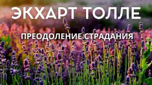 Преодоление страдания. Экхарт Толле. Живой голос
