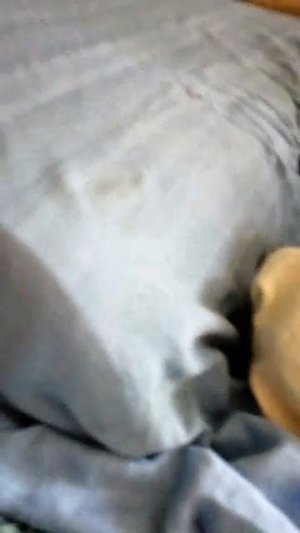 Открываем жвачки лавыс