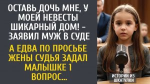 Истории из жизни Оставь дочь мне, у моей невесты шикарный дом! - заявил муж в суде… А едва судья
