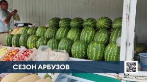 Продавец арбузов развеял миф о сухом хвостике как показателе спелости