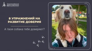8 упражнений на развитие доверия к хозяину