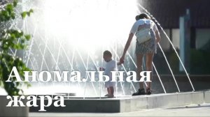 Аномальная жара накрыла ЛНР