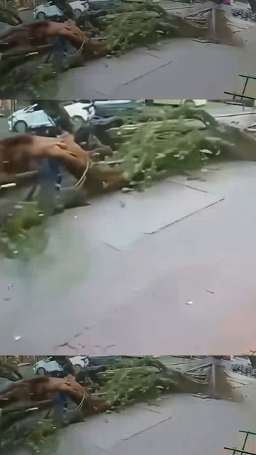 И ни одной царапины!