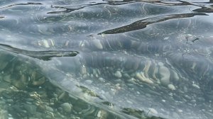 Адлер. Море. Пляж. 07.08.2026. Вода чистая и прозрачная! А ведь ещё вчера море было грязное.