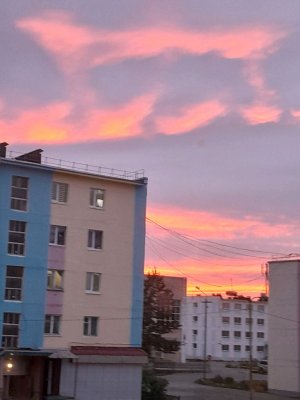 трансляция