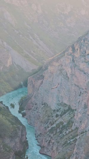 Орёл парит над каньоном🦅