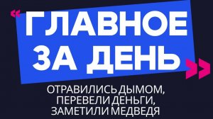 Главное за день: отравились дымом, перевели деньги и заметили медведя