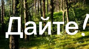 Просто тренд)