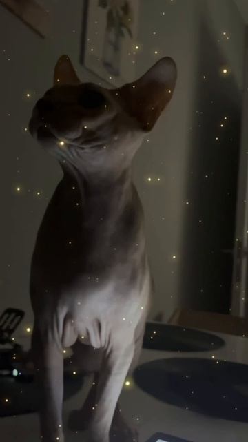 Космос