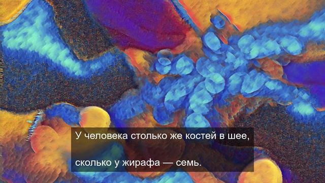 в поисках утраченного смысла 10