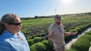#434 Our Biggest Surprise in Crimea Yet! Lavender Farm Adventure 13.07.2026